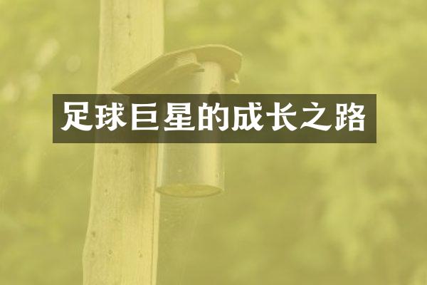 足球巨星的成长之路