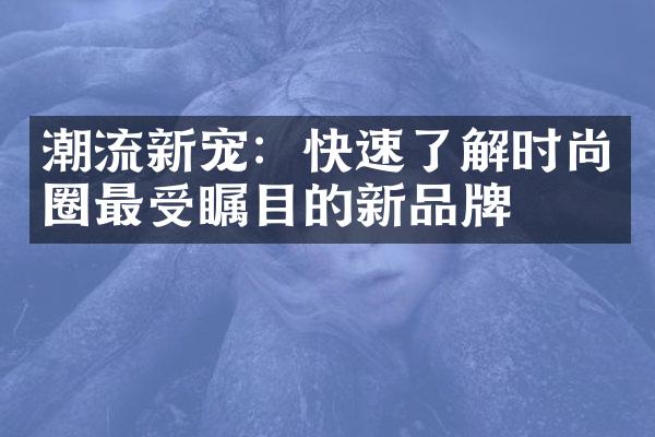 潮流新宠：快速了解时尚圈最受瞩目的新品牌