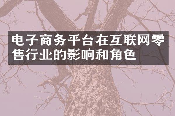 电子商务平台在互联网零售行业的影响和角色