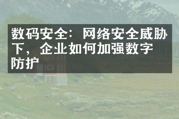 数码安全：网络安全威胁下，企业如何加强数字化防护