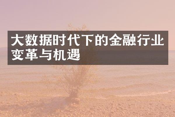 大数据时代下的金融行业变革与机遇