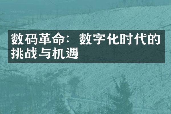 数码革命：数字化时代的挑战与机遇