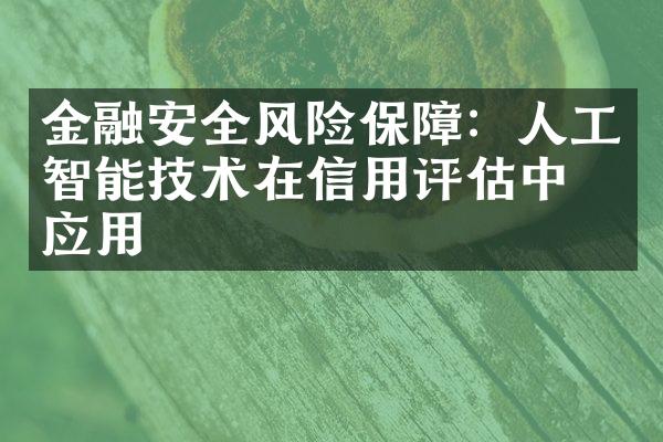 金融安全风险保障：人工智能技术在信用评估中的应用