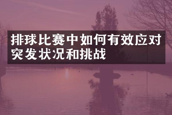 排球比赛中如何有效应对突发状况和挑战