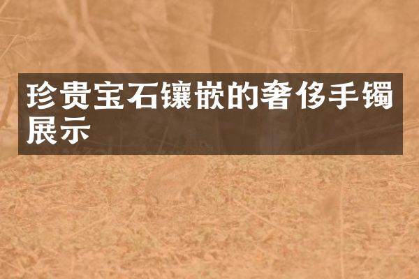 珍贵宝石镶嵌的奢侈手镯展示