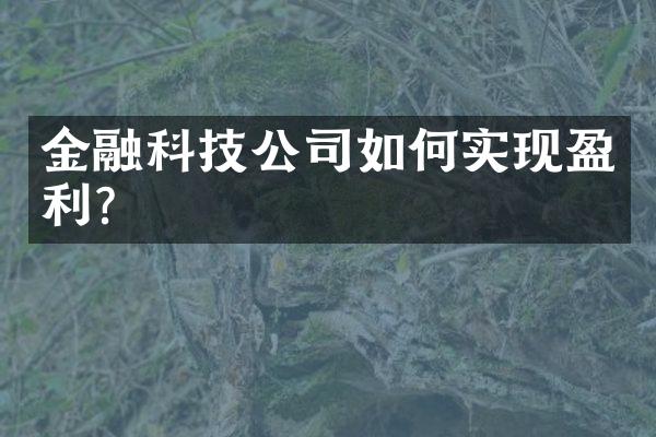 金融科技公司如何实现盈利？