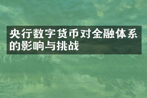 央行数字货币对金融体系的影响与挑战