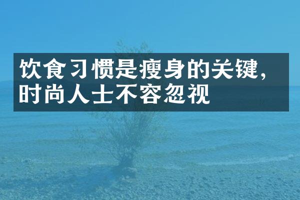 饮食习惯是瘦身的关键，时尚人士不容忽视