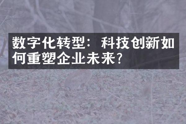 数字化转型：科技创新如何重塑企业未来？