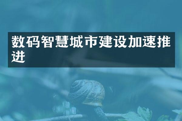 数码智慧城市建设加速推进