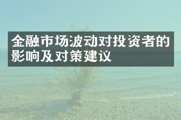 金融市场波动对投资者的影响及对策建议