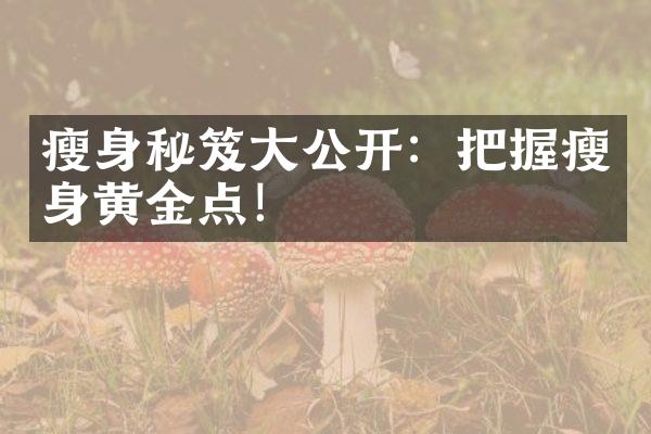 秘笈公开：把握黄金点！