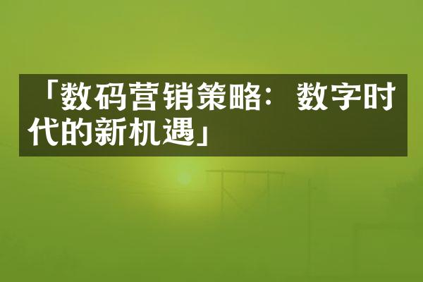 「数码营销策略：数字时代的新机遇」