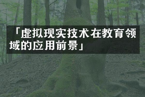 「虚拟现实技术在教育领域的应用前景」