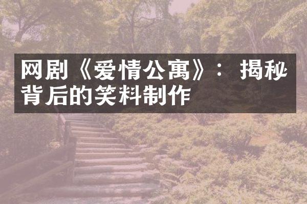 网剧《爱情公寓》：揭秘背后的笑料制作