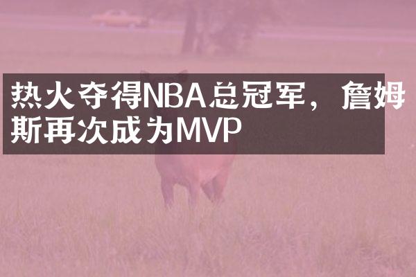 热火夺得NBA总冠军，詹姆斯再次成为MVP