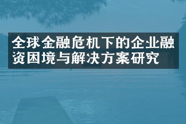 全球金融危机下的企业融资困境与解决方案研究