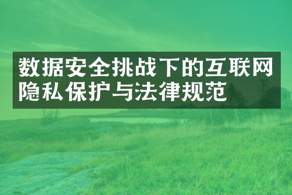 数据安全挑战下的互联网隐私保护与法律规范