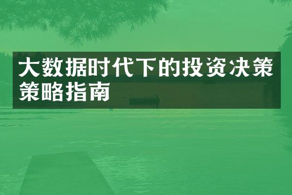 大数据时代下的投资决策策略指南