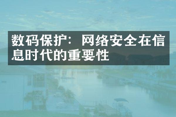 数码保护：网络安全在信息时代的重要性