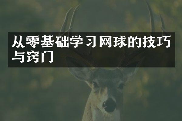 从零基础学习网球的技巧与窍门