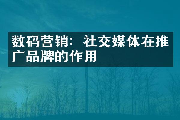 数码营销：社交媒体在推广品牌的作用