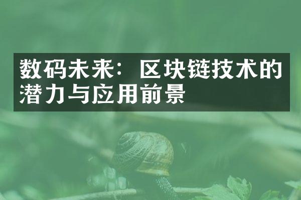 数码未来：区块链技术的潜力与应用前景