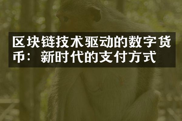 区块链技术驱动的数字货币：新时代的支付方式