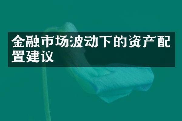 金融市场波动下的资产配置建议