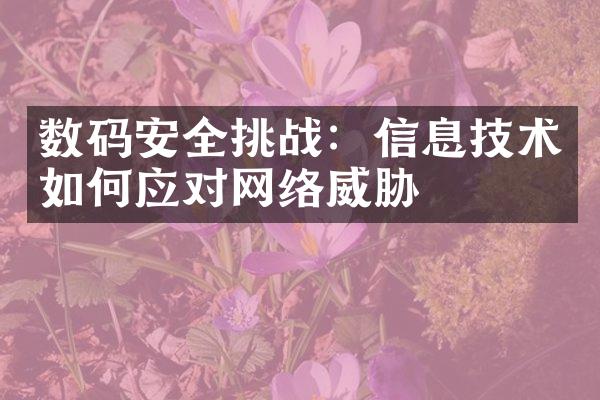 数码安全挑战：信息技术如何应对网络威胁