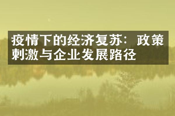 疫情下的经济复苏：政策刺激与企业发展路径