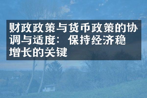 财政政策与货币政策的协调与适度：保持经济稳定增长的关键