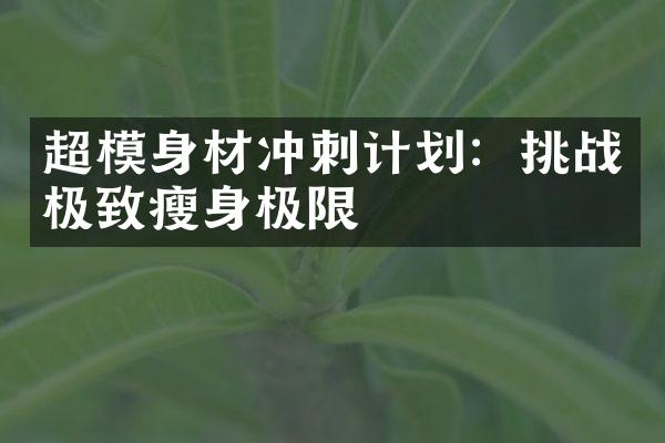 超模身材冲刺计划：挑战极致瘦身极限