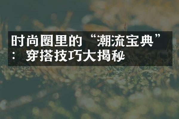 时尚圈里的“潮流宝典”：穿搭技巧揭秘