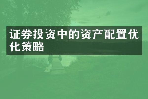 证券投资中的资产配置优化策略