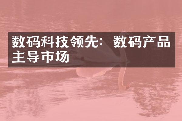 数码科技领先：数码产品主导市场