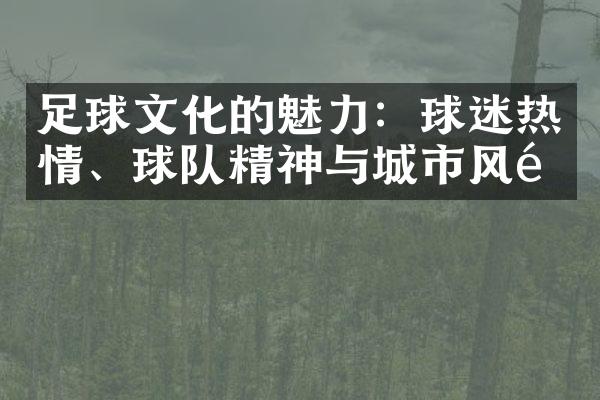 足球文化的魅力：球迷热情、球队精神与城市风采