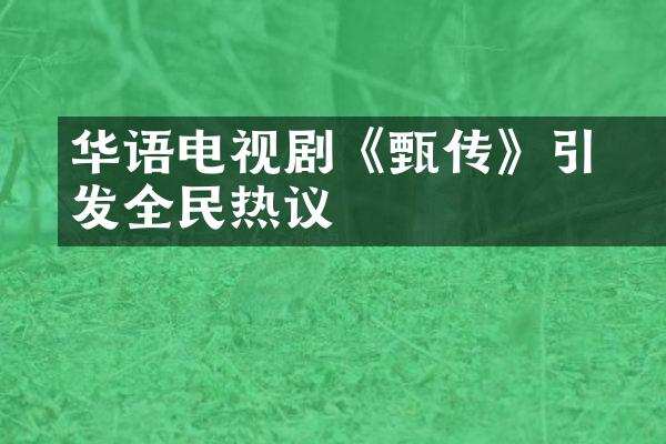 华语电视剧《甄嬛传》引发全民热议