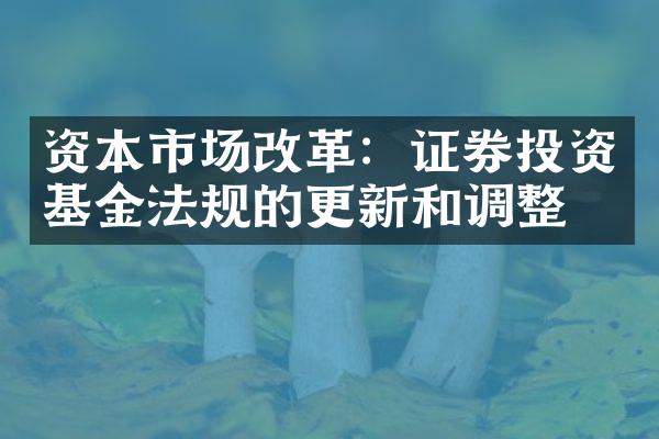 资本市场改革：证券投资基金法规的更新和调整