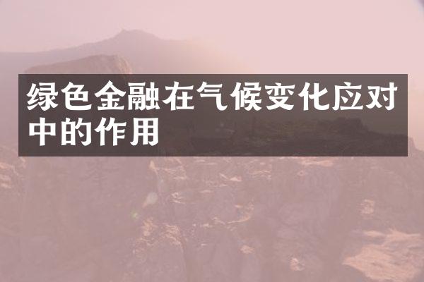 绿色金融在气候变化应对中的作用