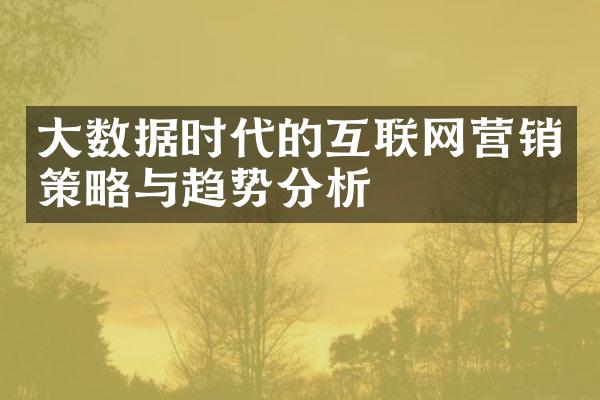 大数据时代的互联网营销策略与趋势分析