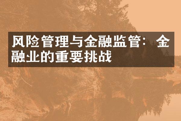 风险管理与金融监管：金融业的重要挑战