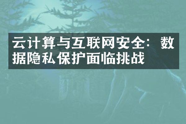 云计算与互联网安全：数据隐私保护面临挑战