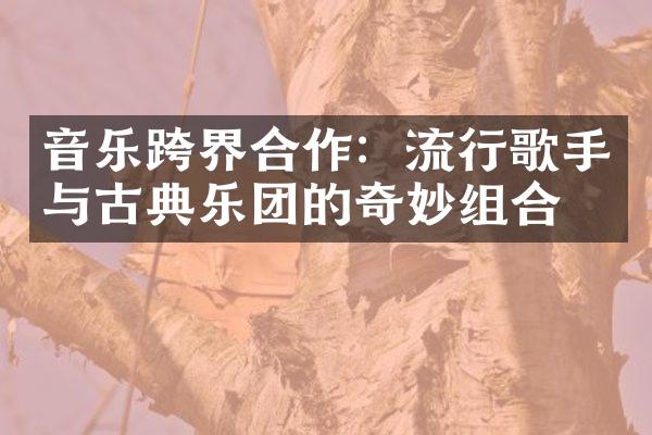 音乐跨界合作：流行歌手与古典乐团的奇妙组合