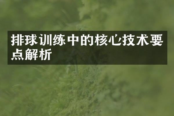 排球训练中的核心技术要点解析