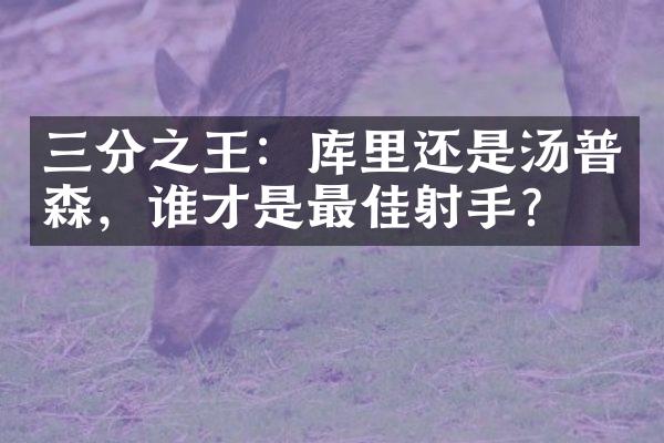 三分之王：库里还是汤普森，谁才是最佳射手？