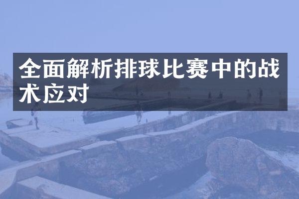 全面解析排球比赛中的战术应对