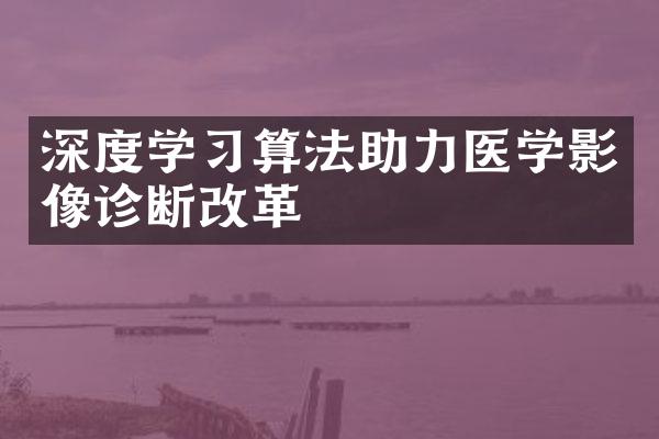 深度学算法助力医学影像诊断