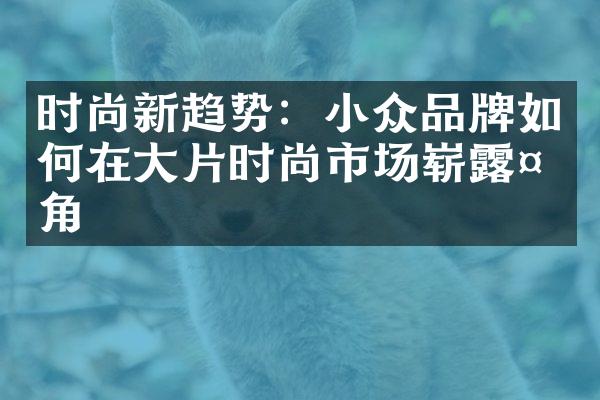 时尚新趋势：小众品牌如何在片时尚市场崭露头角