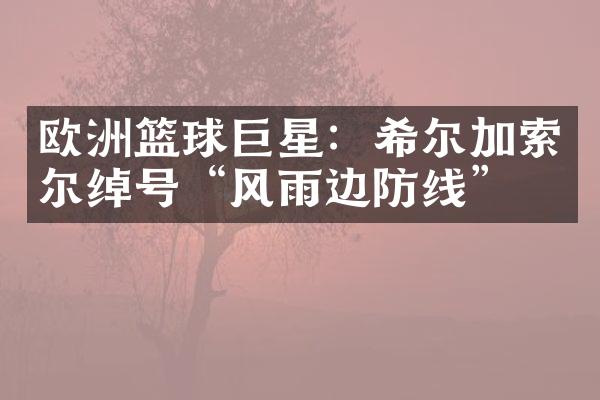 欧洲篮球巨星：希尔加索尔绰号“风雨边防线”